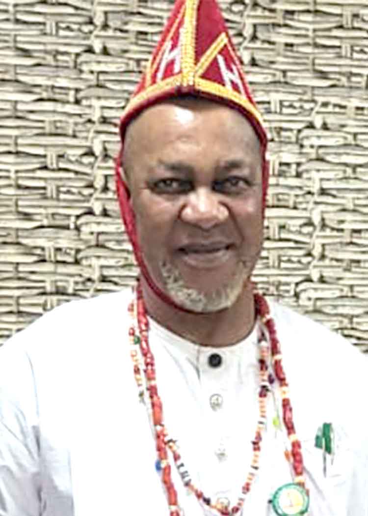 HRM Eze Prof. Dele Amuzienwa Odigbo